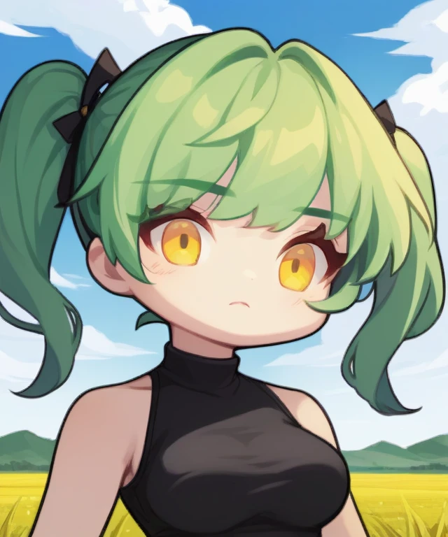 score_9, score_8, masterpiece, best quality, 1girl, green hair, twintails, yellow eyes, pale skin, breasts, black shirt, upper body, field, sky, clouds <lora:GTChibiXL640V1:0.7>, chibi