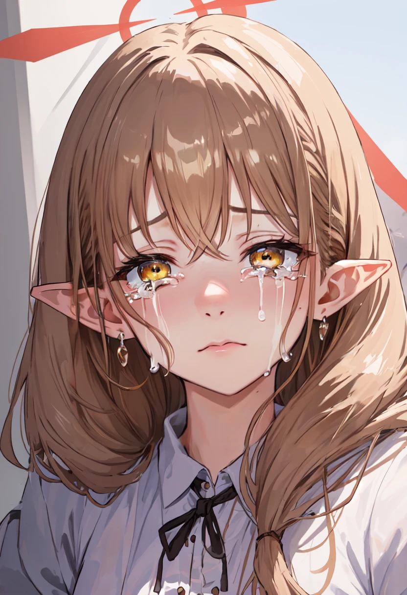 best quality, masterpiece, highres, solo, (ibuki_bluearchive:1.10), crying, sobbing, tears, portrait, looking at viewer, 35 <lora:ibuki_bluearchive:0.80>