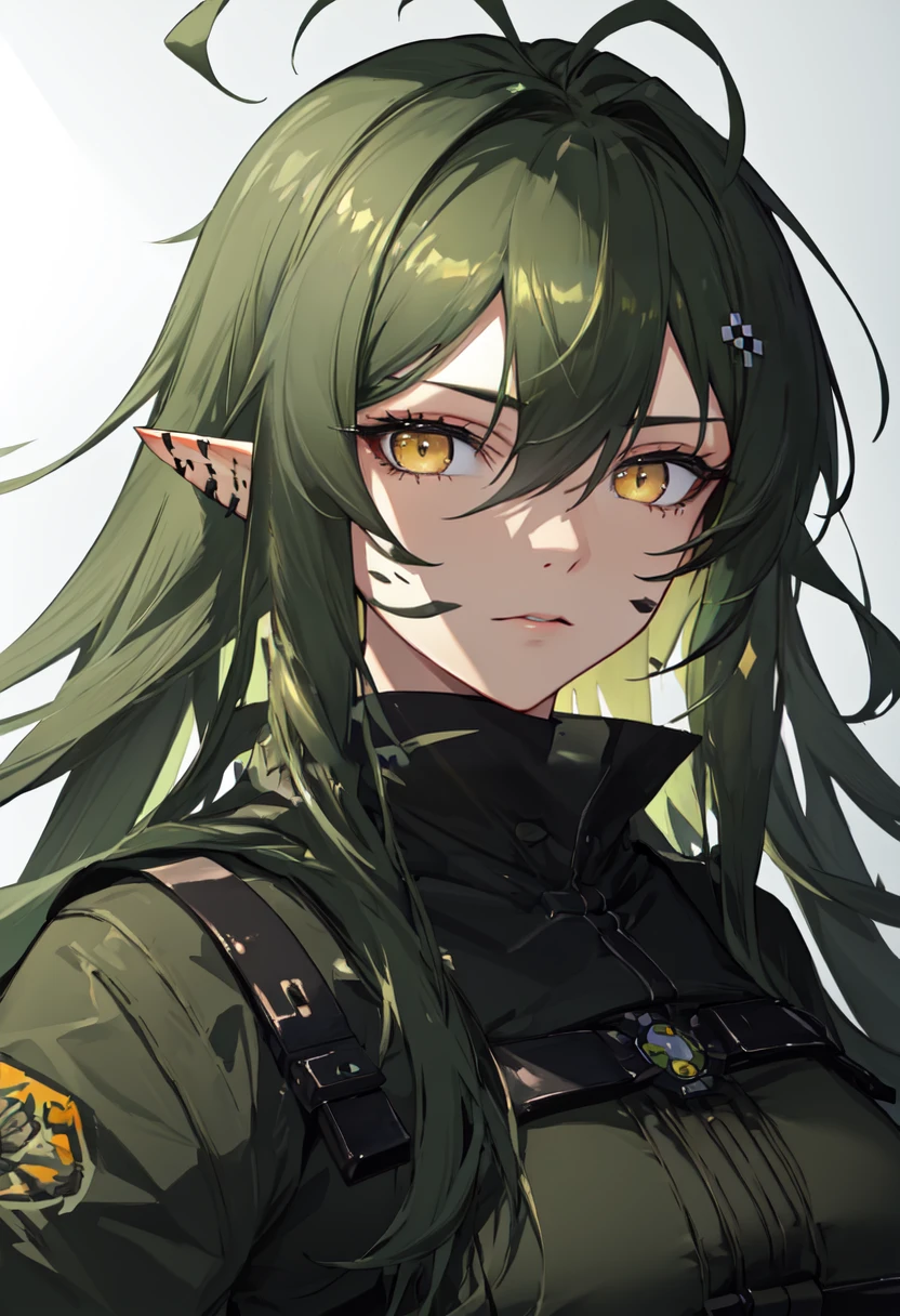 (safe:1.10), best quality, masterpiece, highres, solo, (gavial_arknights:1.10), portrait, looking at viewer, 14 <lora:gavial_arknights:0.80>