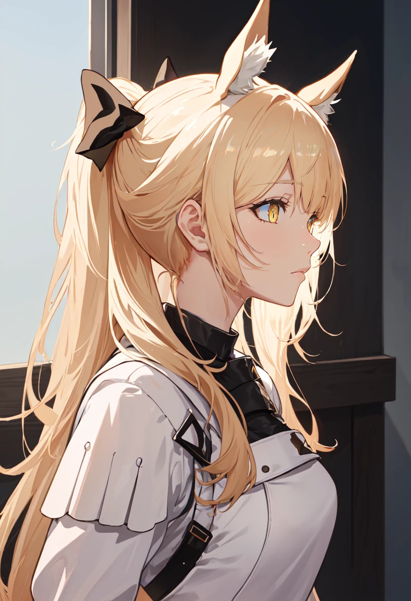 (safe:1.10), best quality, masterpiece, highres, solo, (blemishine_arknights:1.10), profile, from side, upper body, 13 <lora:blemishine_arknights:0.80>