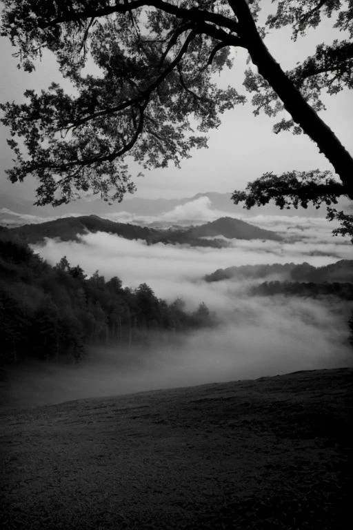 KB_Kentmere400, instagram photo,a foggy mountain,  soft shadows, film grain