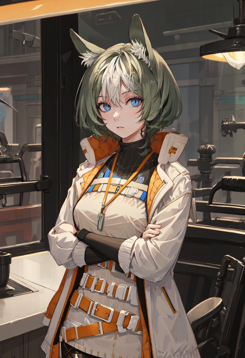 (safe:1.10), best quality, masterpiece, highres, solo, (proviso_arknights:1.10), crossed arms, cowboy shot, looking at viewer, 25 <lora:proviso_arknights:0.80>