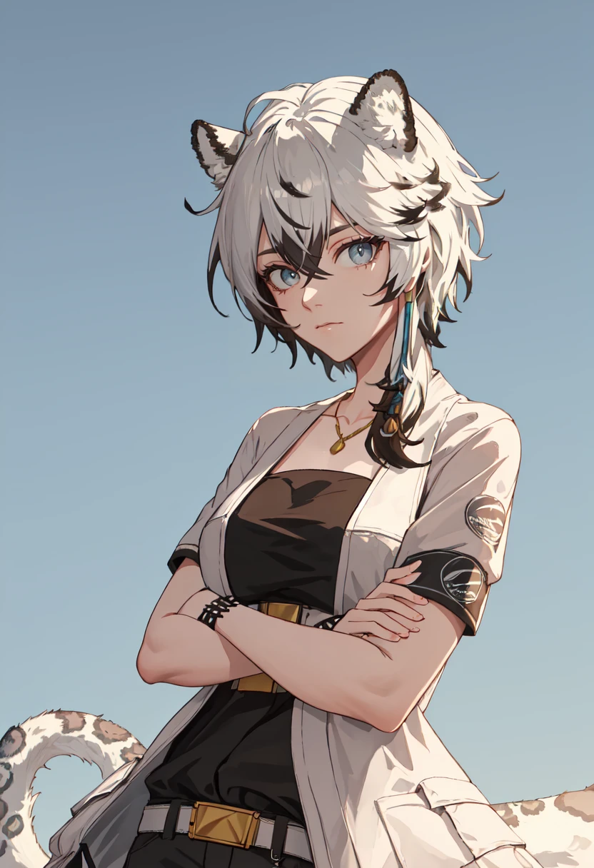 (safe:1.10), best quality, masterpiece, highres, solo, (cliffheart_arknights:1.10), crossed arms, cowboy shot, looking at viewer, 28 <lora:cliffheart_arknights:0.80>