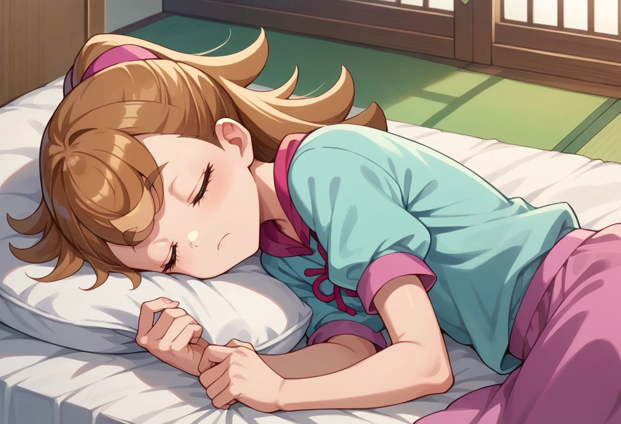 score_9_up, score_8_up, score_7_up, anime screenshot, 
inukaikomugi, sleeping