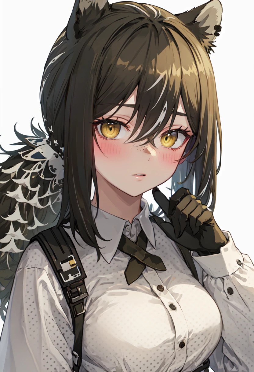 best quality, masterpiece, highres, solo, (robin_arknights:1.10), 1girl, animal hands, collared shirt, cross tie, long sleeves, looking at viewer, simple background, upper body, white background, white shirt, polka dot shirt, white hair, hand up, blush, closed mouth, 2 <lora:robin_arknights:0.80>