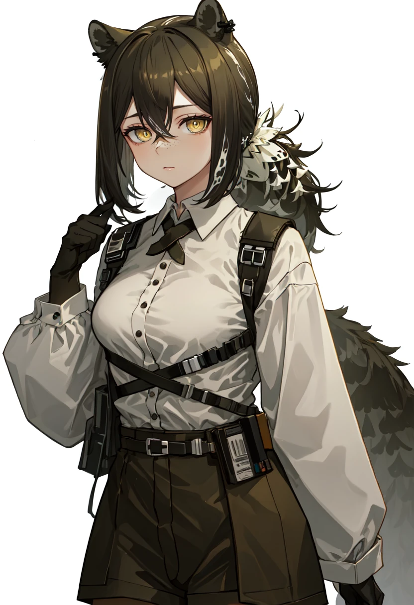 best quality, masterpiece, highres, solo, (robin_arknights:1.10), 1girl, animal hands, black shorts, collared shirt, cross tie, long sleeves, looking at viewer, white shirt, closed mouth, cowboy shot, simple background, white background, black gloves, 0 <lora:robin_arknights:0.80>