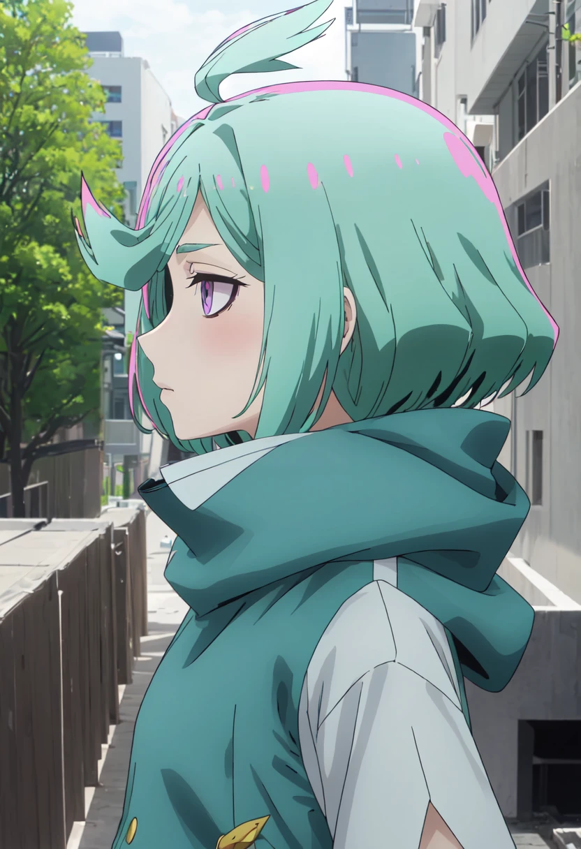 (safe:1.10), best quality, masterpiece, highres, solo, (nemo_anemo_mahoushoujoniakogarete:1.10), profile, from side, upper body, anime_style, 17 <lora:nemo_anemo_mahoushoujoniakogarete:0.80>