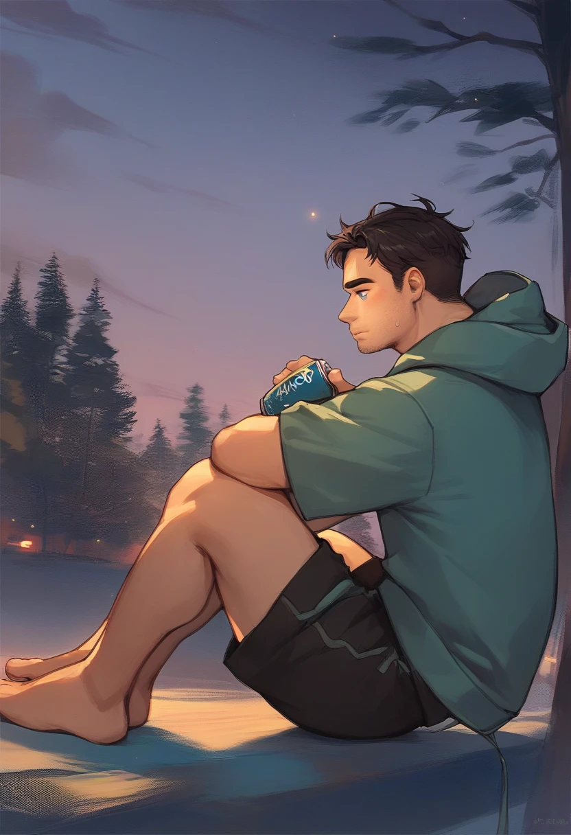 score_9, score_8_up, score_7_up, score_6_up, score_5_up, score_4_up, shane_sdv, 1boy, solo, black shorts, night, sitting, can, sky, facial hair, profile, black hair, outdoors, green shirt, brown hair, drawstring, blue eyes, stubble, short hair, tree, blue hooded jacket, dock <lora:Shane_SDV-Pony-XL-v6:1>