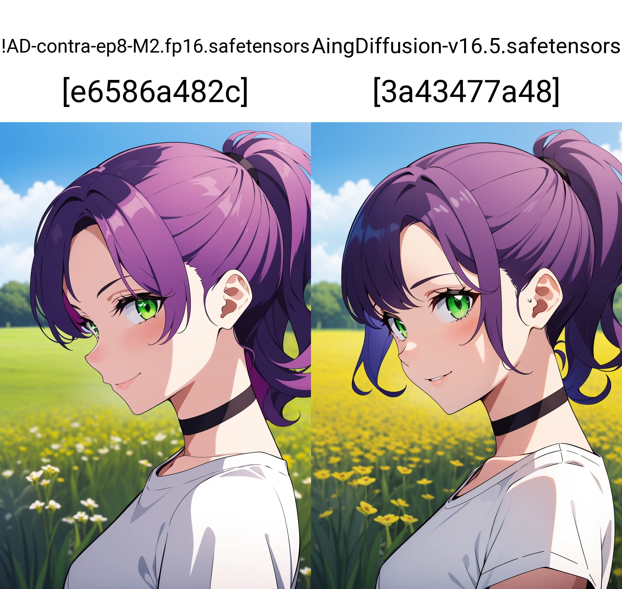 1girl, solo,
medium hair, wavy hair, purple hair, green eyes, ponytail, medium breasts, white t-shirt, choker, light smile,
portrait, field, from side, looking at viewer, wind,
masterpiece, best quality,