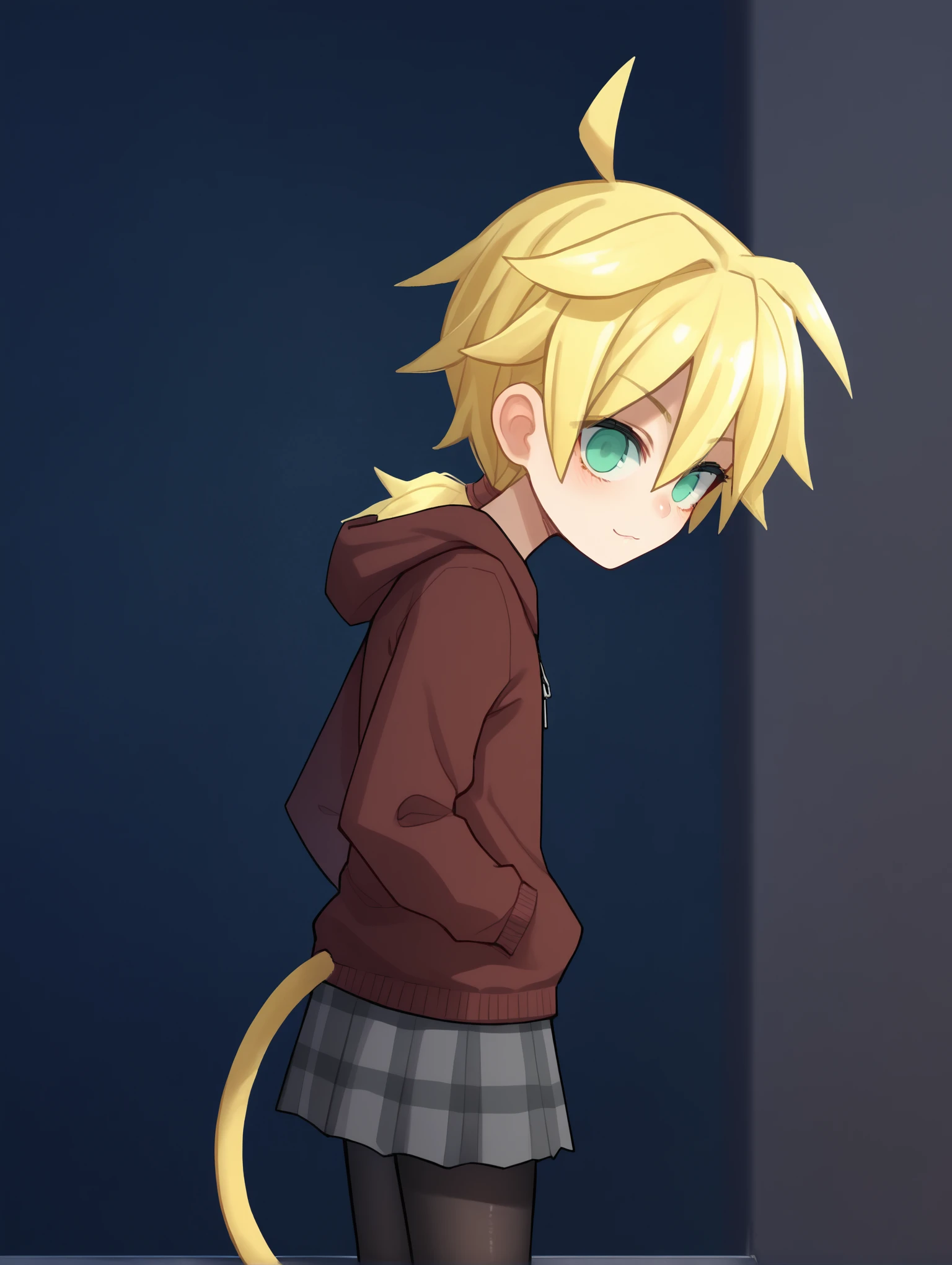 score_9, score_8_up, score_7_up, score_6_up, score_5_up, score_4_up, source_anime, BREAK
1girl, solo, looking at viewer, <lora:PopokaXL:1> popokaxl, hoodie, open hoodie, grey skirt, black pantyhose,, <lora:Meizie-10:0.7> meizie, low ponytail, ahoge, flat chest, short hair, (monkey tail), ((ssjform, blonde hair, aqua eyes, spiked hair:1.2), (blonde tail))