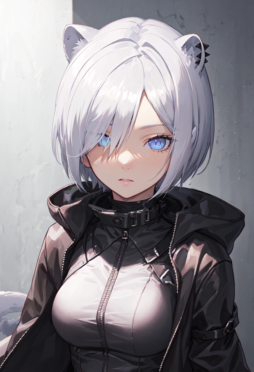 (safe:1.10), best quality, masterpiece, highres, solo, (shirayuki_arknights:1.10), portrait, looking at viewer, 3 <lora:shirayuki_arknights:0.80>