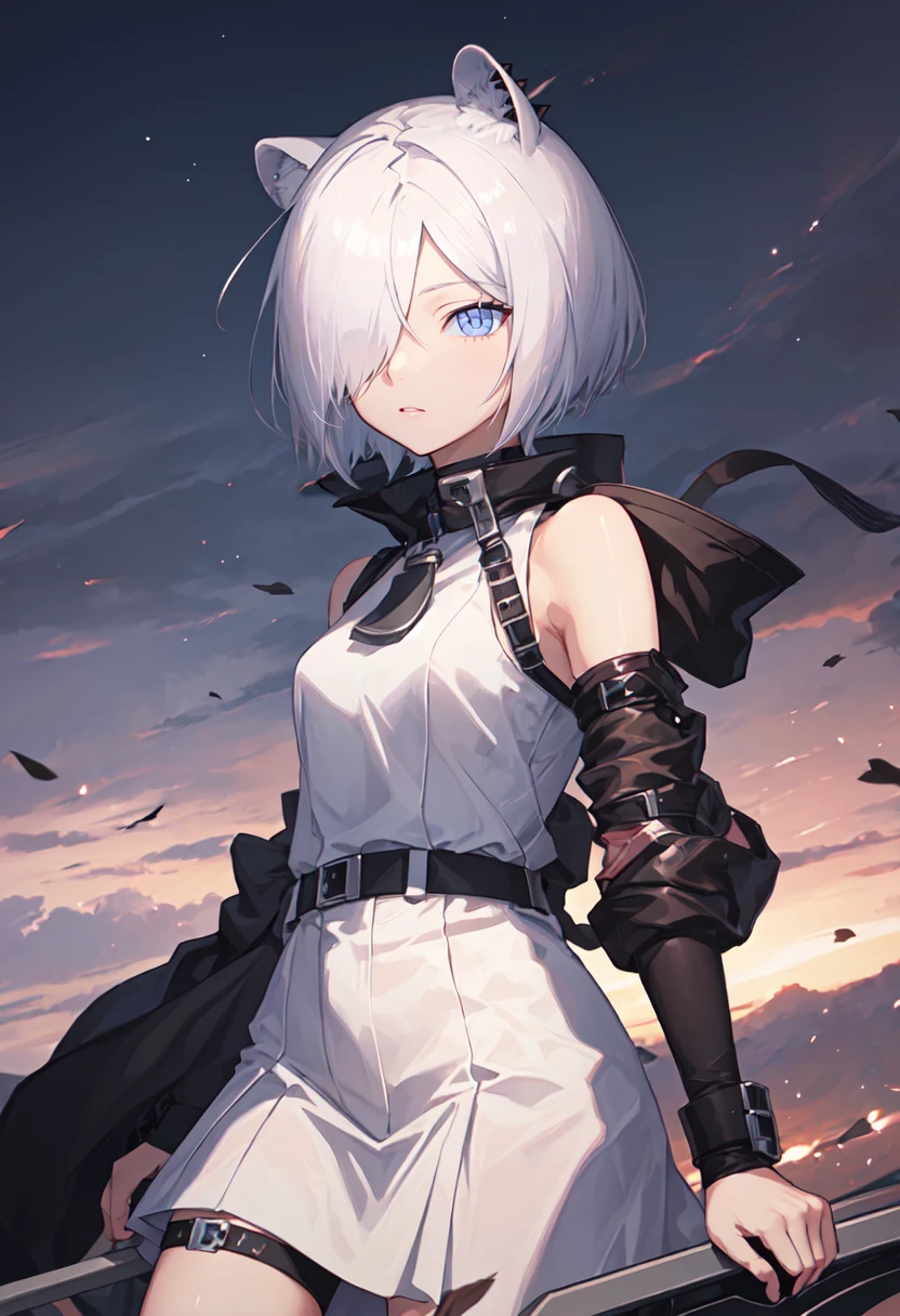 (safe:1.10), best quality, masterpiece, highres, solo, (shirayuki_arknights:1.10), 8 <lora:shirayuki_arknights:0.80>