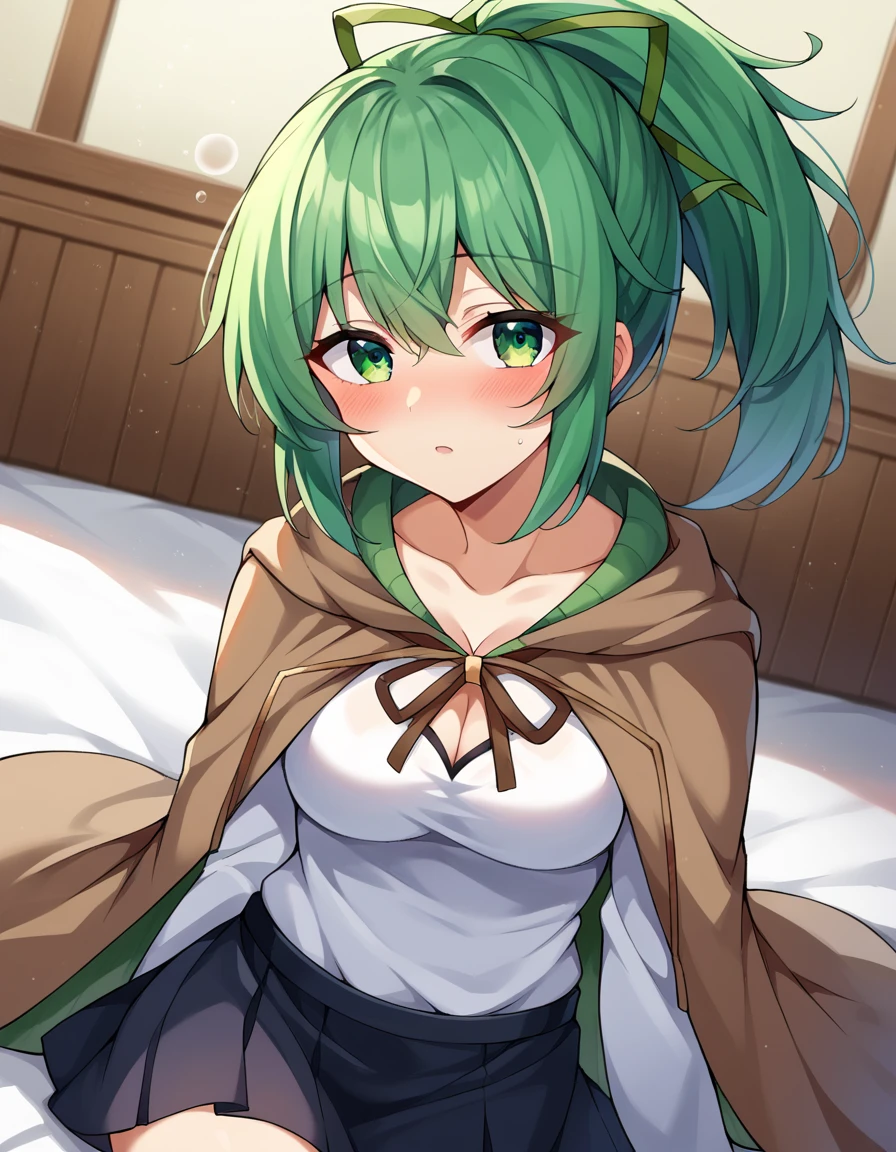 score_9, score_8_up, score_7_up, source_anime,
wynnthewindcharmer, <lora:wynn-the-wind-charmer-ponyxl-lora-nochekaiser:1>,
wynn the wind charmer, eyes visible through hair, green eyes, green hair, ponytail, ribbon, hair ribbon,
black skirt, brown cape, cape, cleavage, shirt, skirt, white shirt,
indoors, bed, bed room, on side, blush, drunk,
looking at viewer, cowboy shot, dutch angle,