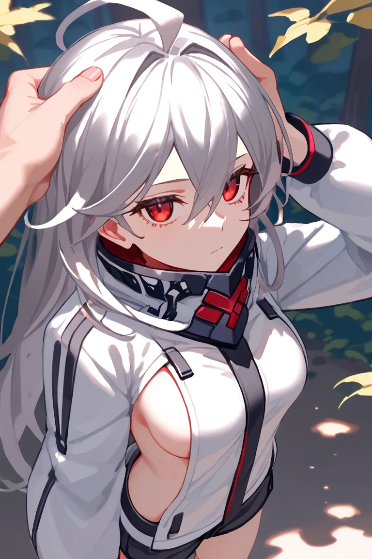 score_9, score_8_up, score_7_up, score_6_up, score_5_up, score_4_up,source_anime,
 <lora:reva2po-000006:0.8>,reva2,red eyes,silver hair,long hair,ahoge,medium breasts,hair between eyes,
sideboob,white jacket,black short shorts,high collar,explessionless,jitome,day,forest,pov,upper body,hands on head,from above