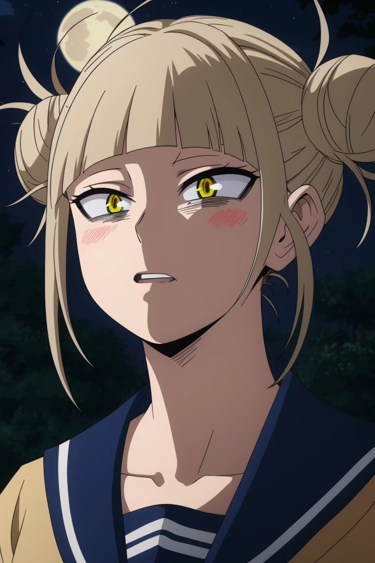 toga himiko, outdoors, SFW, portrait, night, professional lighting, moon, perfect composition
<lora:MHA_girlPack4:0.7>, 8k, masterpiece, absurdres, anime,