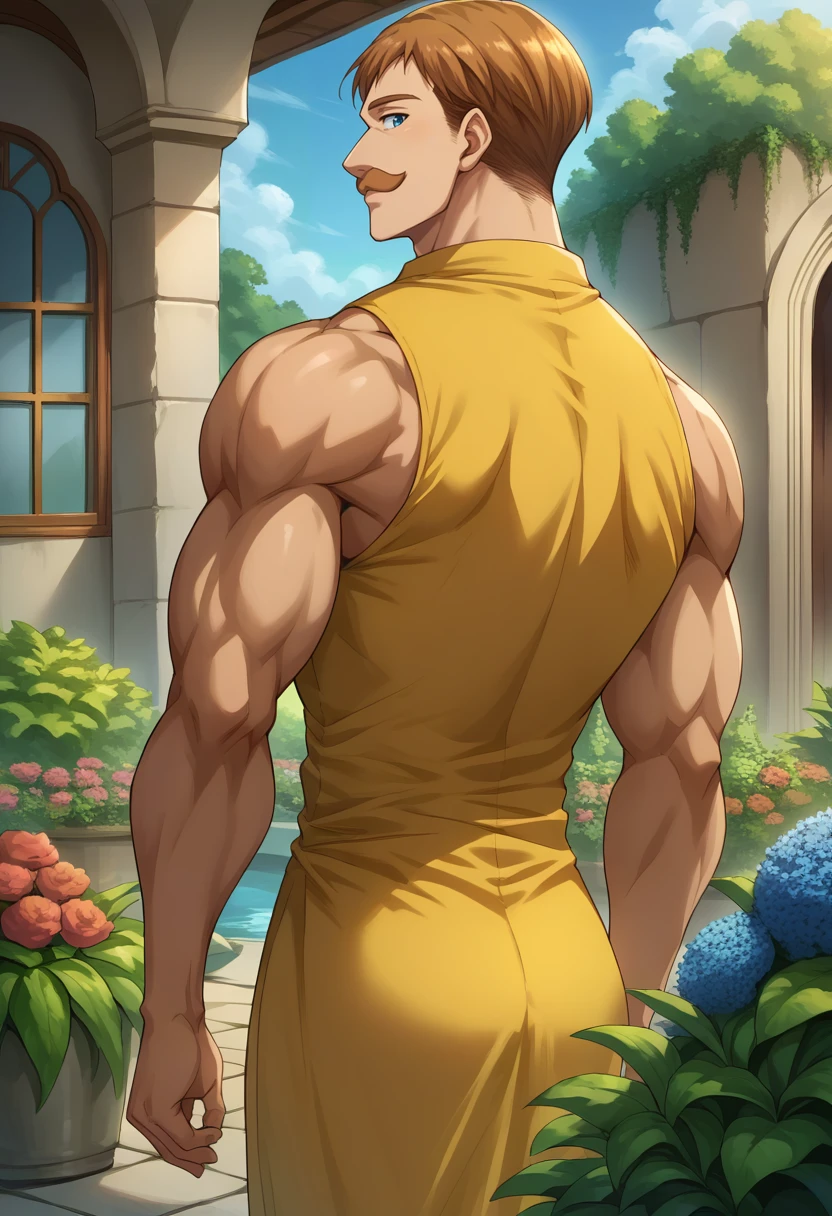 score_9, score_8_up, score_7_up, source_anime, 1boy, solo, Escanor, muscular, short hair, brown hair, mustache, blue eyes, from behind, yellow sundress, sleeveless, back, garden, day, sunshine, smile, looking back, <lora:ChamEscanorPonyXL:1>