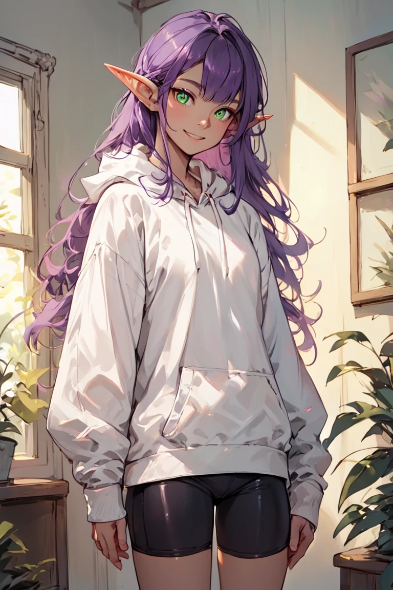 score_9, score_8_up, score_7_up, rating_safe, elf, pointy ears, purple hair, long hair, green eyes, white hoodie, bike shorts, smile, 1girl, solo, looking at viewer, cowboy shot, standing, indoors, living room <lora:MatureMaleMix v1.4 Style LoRA_Pony XL v6:1>