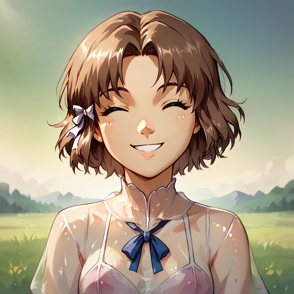 score_9, score_8_up, score_7_up,
ChiffonFairchild,source_anime,1girl,solo,breasts,smile,short hair,bangs,brown hair,ollarbone,closed eyes,upper body,shiny,see-through,parted bangs,facing viewer,nice grassfield backround,white hair ribbon  left side
 <lora:Chiffon_Fairchild_v2-6:0.6>