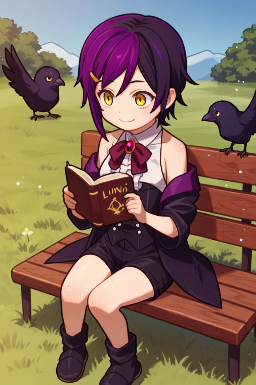 score_9, score_8_up, score_7_up,score_6_up,score_5_up,score_4_up,cute,kawaii,chibi, nihilo, 1girl,crow standing, solo, black hair, yellow eyes,short hair,purple hair, sitting, bench, reading, book, grass, blue sky, black open coat, white collar shirt, off shoulder,center frills, black boots, tabi,wine ribbon, smile,red brooch, black short shorts, black corset,sleeveless,hairclip,   <lora:NihiloPony:1>