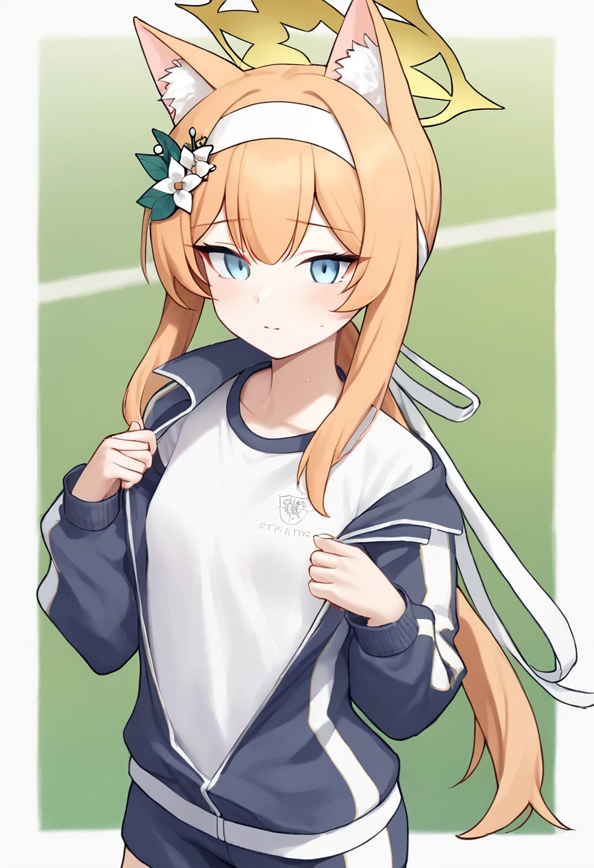 score_9,score_8_up,score_7_up,<lora:blue_archive_all:1>,
mari_\(blue_archive\),mari_\(track\)_\(blue_archive\),1girl,official_alternate_costume,animal_ear_fluff,hair_flower,white_flower,white_hairband,track_jacket,gym_uniform,white_shirt,animal_ears,long_sleeves,