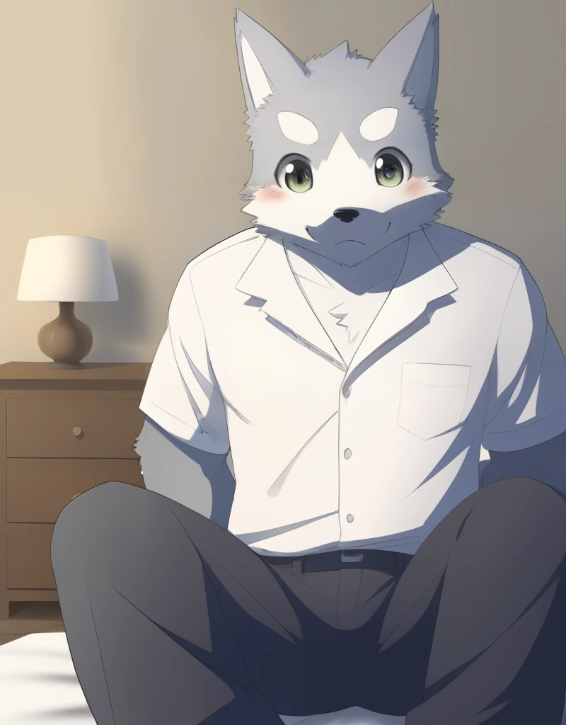 (((detailed eyes, detailed face))), (furry, seiya <lora:character_seiya_findigo_v1:0.9>, two-tone fur, grey fur, dog boy, snout, green eyes), male, (solo), (plump), (white shirt, grey pants), sitting, (arms behind back), smile, (front view) BREAK (konzaburou, ukan_muri, cute), bedroom, (flat shading, flat color, high brightness), 8k, UHD, masterpiece, (full body:1.8)