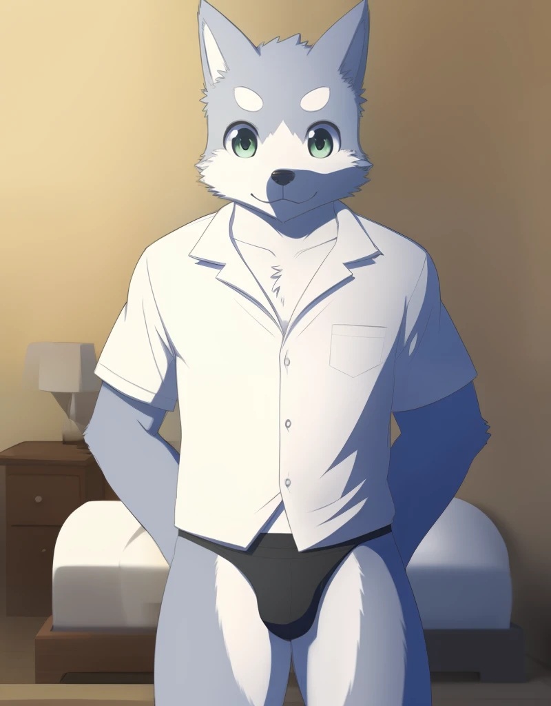 (((detailed eyes, detailed face))), (furry, seiya <lora:character_seiya_findigo_v1:0.8>, two-tone fur, grey fur, dog boy, snout, green eyes), male, (solo), (plump), (white shirt, black briefs, black male underwear), standing, (arms behind back), smile, (front view) BREAK (konzaburou, ukan_muri, cute), bedroom, (flat shading, flat color, high brightness), 8k, UHD, masterpiece, (full body:1.8)