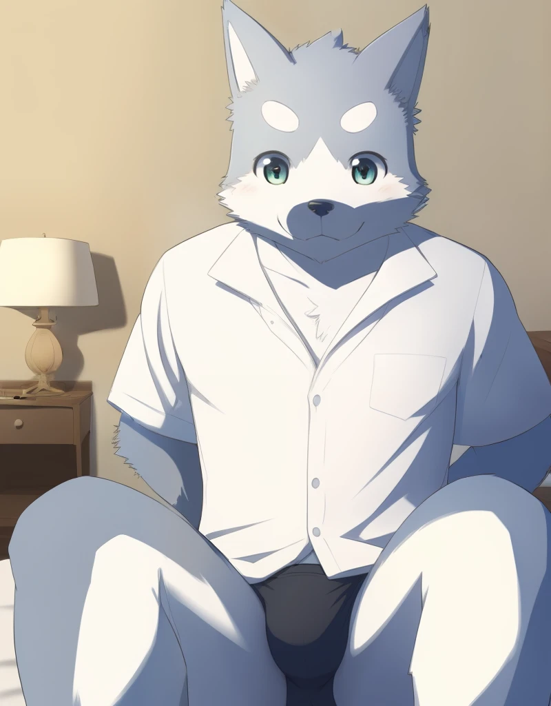 (((detailed eyes, detailed face))), (furry, seiya <lora:character_seiya_findigo_v1:0.9>, two-tone fur, grey fur, dog boy, snout, green eyes), male, (solo), (plump), (white shirt, black briefs, black male underwear), sitting, (arms behind back), smile, (front view) BREAK (konzaburou, ukan_muri, cute), bedroom, (flat shading, flat color, high brightness), 8k, UHD, masterpiece, (full body:1.8)