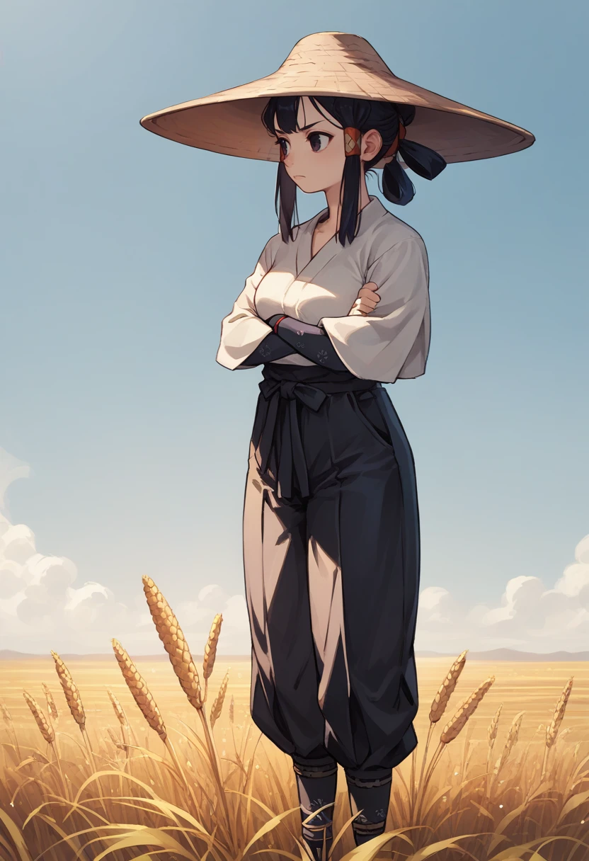 score_9, score_8_up, score_7_up, source_anime, 1girl, solo, standing, crossed arms, looking away, <lora:SakunaRR-pdxl:1> sakunaRR, hakama, black pants, puffy pants, medium breasts, hat, outdoors, wheat field