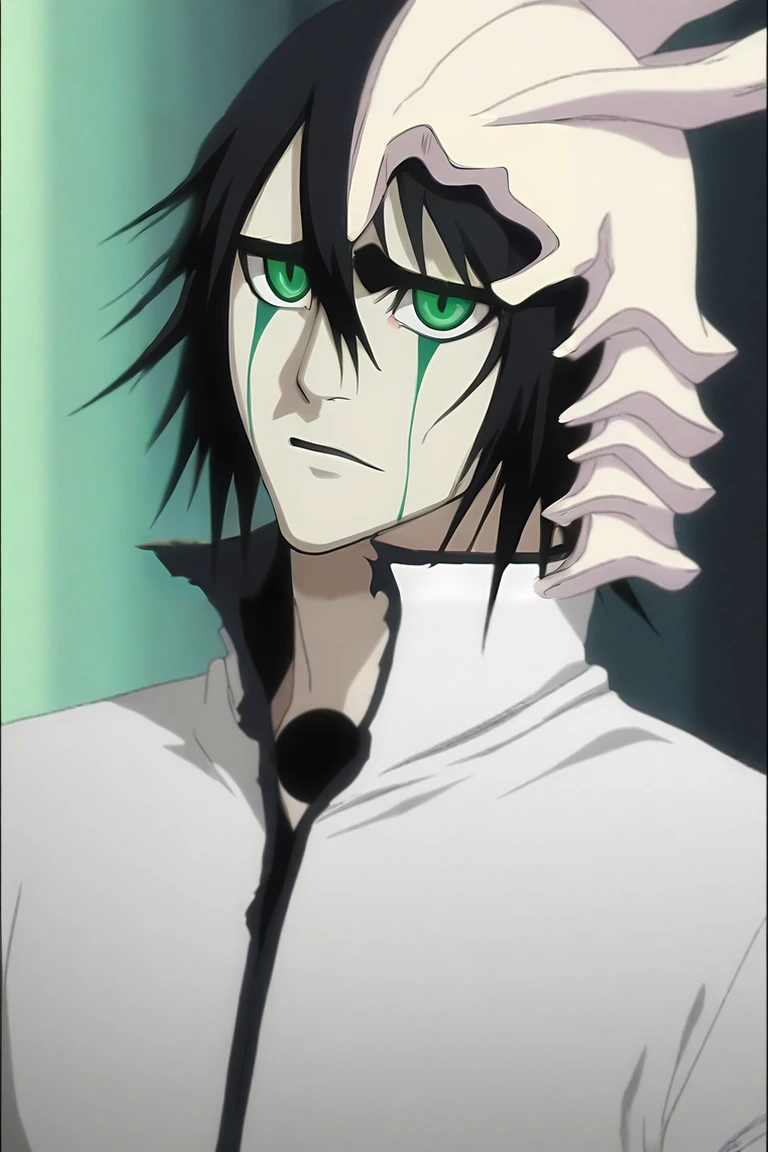 score_9, score_8_up, score_7_up, source_anime, (photorealistic:0.6), , , , 1boy, solo, male focus, <lora:ulquiorra_cifer_pony:0.92>, ulquiorra_cifer, black hair, green eyes, facial mark, hair between eyes, , The Shattering Isles, , <lora:sdxl_lightning_8step_lora:1>