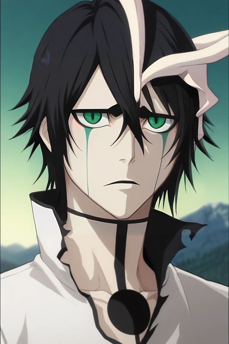 score_9, score_8_up, score_7_up, source_anime, semi-realistic, , , depth of field, 1boy, solo, male focus, <lora:ulquiorra_cifer_pony:0.82>, ulquiorra_cifer, black hair, green eyes, facial mark, hair between eyes, , The Mountain of Fire, , <lora:sdxl_lightning_8step_lora:1>