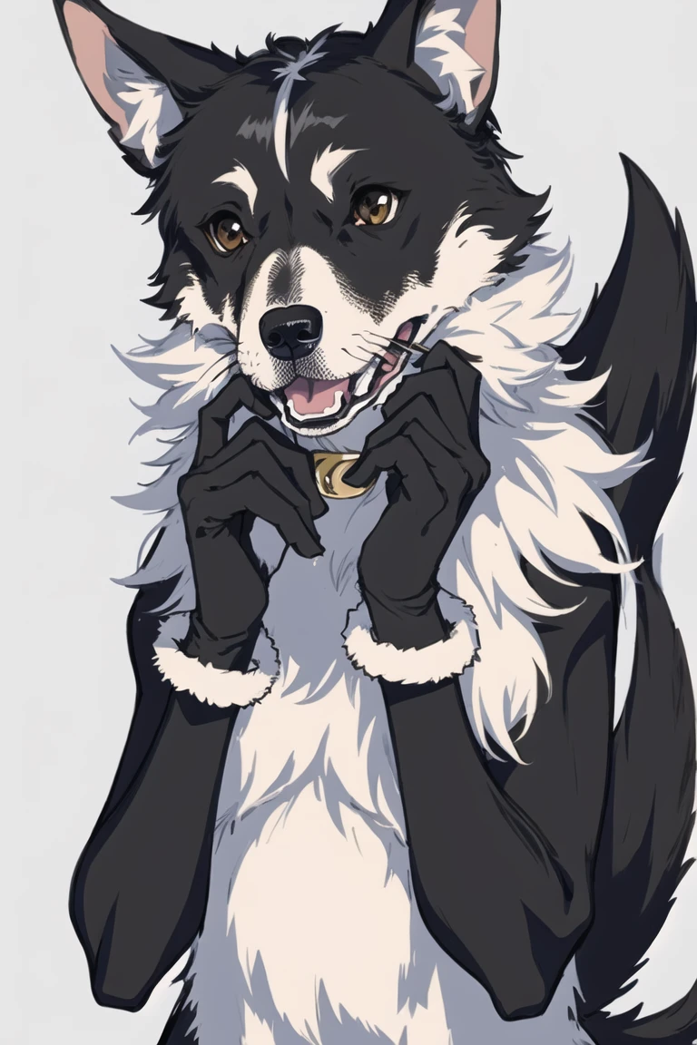 (masterpiece),best quality,dog anthro,solo,gloves,animal ears,white background,detailed fur,
