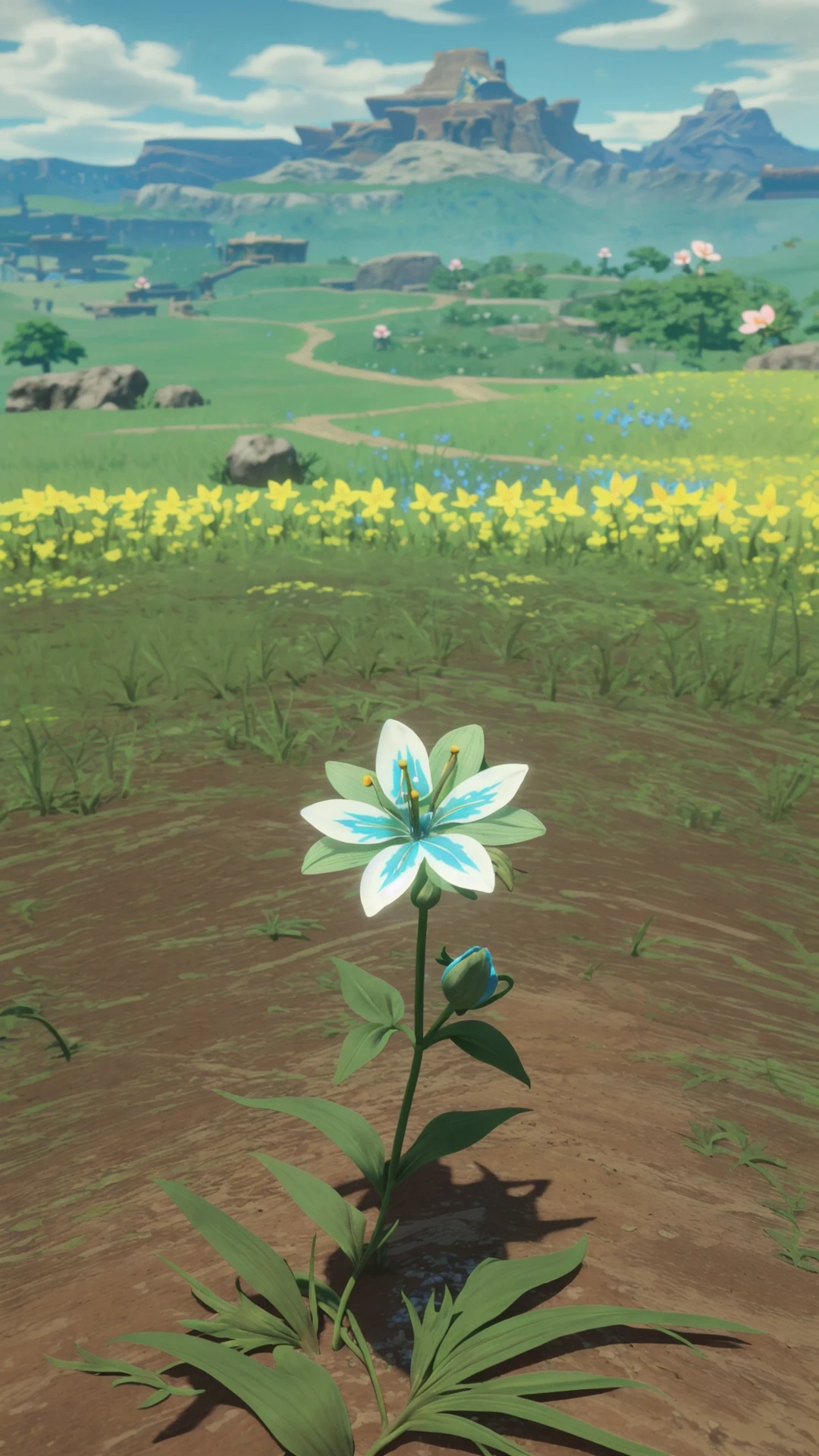 <lora:SilentPrincessBotW:0.8> SilentPrincessBotW, flower, no humans, field, flower field,