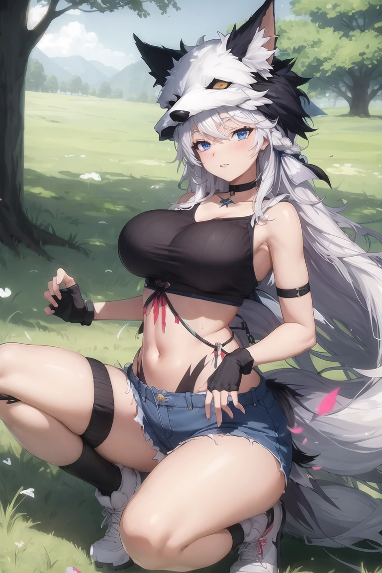 (masterpiece,BEST QUALITY),whitefox_striker,outdoors,grassland,sunlight,<lora:whitefox_striker:0.6>,squatting,shorts,fox hat,very long hair,tail,large breasts,denim,fingerless gloves,choker,single thighhigh,