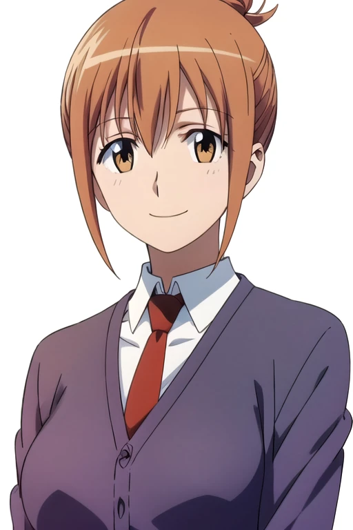 solo, 1girl, looking at viewer, 2D, anime, anime coloring, upper body, (solid white background:1.3), <lora:nozomi-syd:0.8>, nozomi mori, cardigan, necktie, school uniform, smile