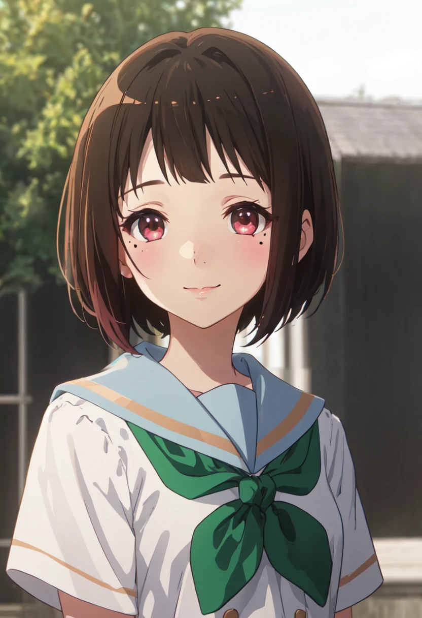 best quality, masterpiece, highres, solo, (nakaseko_kaori_soundeuphonium:1.10), 1girl, brown shirt, green neckerchief, kitauji high school uniform, serafuku, white sailor collar, blush, closed mouth, looking at viewer, smile, outdoors, blurry background, upper body, anime_style, 3 <lora:nakaseko_kaori_soundeuphonium:0.80>