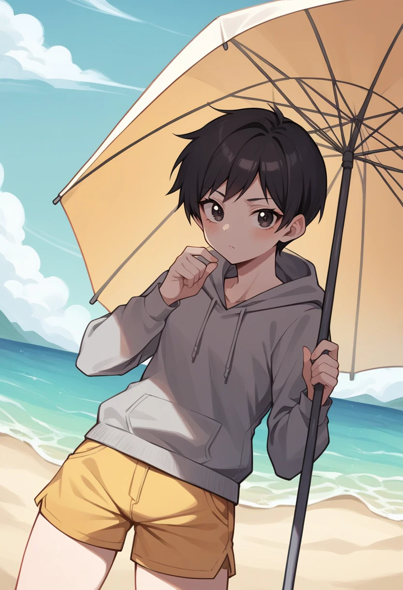 score_9, score_8_up, score_7_up, source_anime BREAK 1girl, solo,   <lora:zs_SeraXL:1> seradds, short hair, black hair, grey hoodie, yellow shorts, beach, under parasol