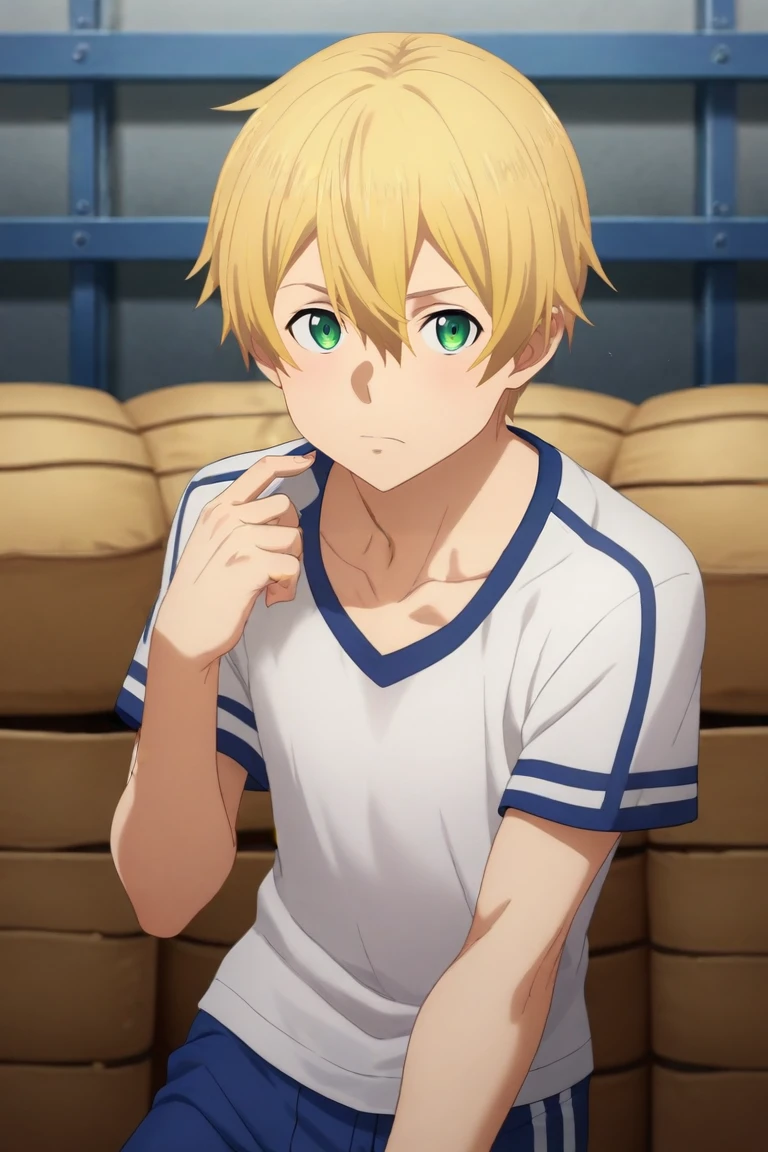 score_9, score_8_up, score_7_up, source_anime, (realistic:0.6), looking at viewer, , depth of field, 1boy, solo, male focus, <lora:eugeo_sao_pony:0.84>, eugeo_sao, blonde hair, green eyes, hair between eyes, short hair, , gym storeroom, , <lora:sdxl_lightning_8step_lora:1>