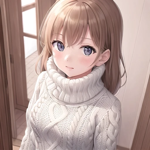 white bfsw,
1girl, turtleneck sweater, indoors, from above <lora:bfsw3:0.75>