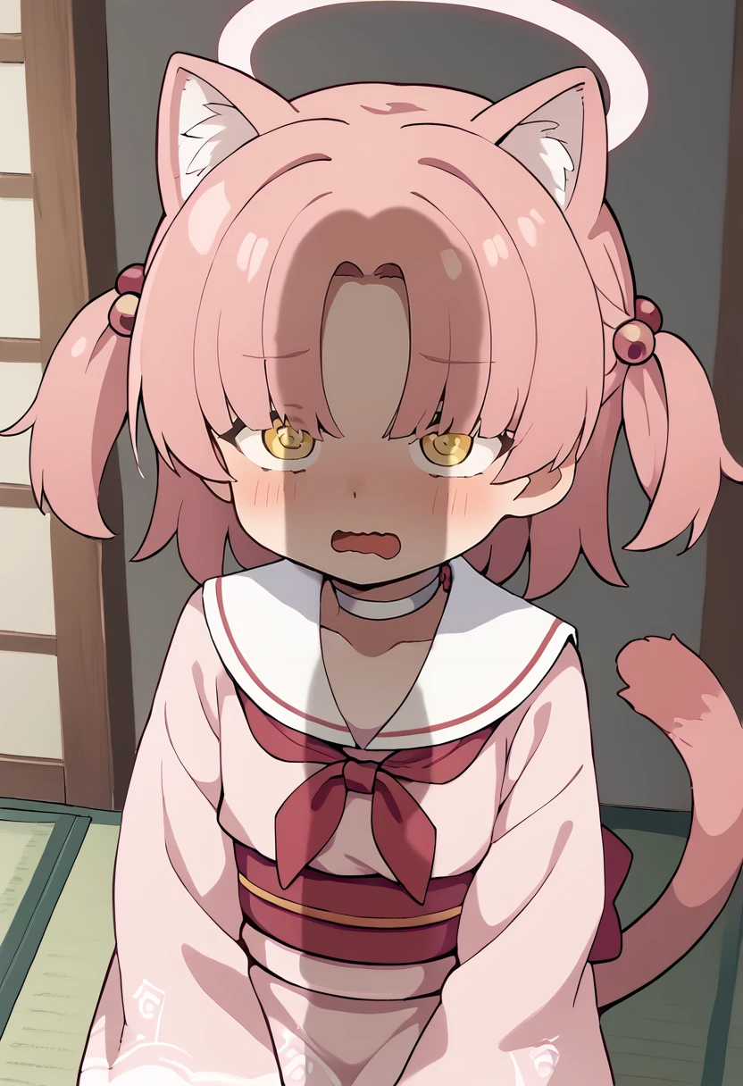 ((masterpiece, best quality)), high resolution,ultra detailed,8k,16k,detailed background, perfect lighting, 1girl, nsfw,embarrassed,blush, closed eyes,steam,confused,(cum facial,cum on hair,bukkake,cum on face:1.3),close up face,open mouth,stick tongue out,(from front,portrait, from above:1.2),kneeling,fair skin,(flat chest),short stature,tiny,diona,(bangs up knot,forehead),pink hair,blue eye,cat ear,cat tail,wooden house,school wear
