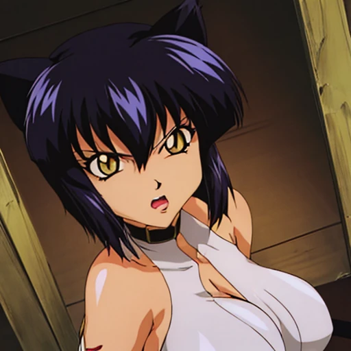 <lora:Karulawaturei:.7>, karulawaturei, big_breasts, metal_collar, braid