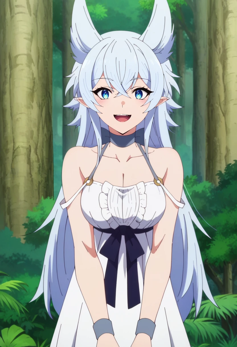 score_4, score_5, score_6, score_9, score_8_up, score_7_up, source_anime,
<lora:Lv2karaCheat_FenrysXL:0.8>, FenrysLv2,
1girl, smile, open mouth,
grey hair, very long hair, blue eyes, wolf ears, pointy ears,
choker, white dress, bare shoulders, black ribbon, cleavage, strap slip,
looking at viewer, standing, cowboy shot,
outdoors, forest,
<lora:anime_screencap:1>, fine anime screencap_xl, anime_screencap