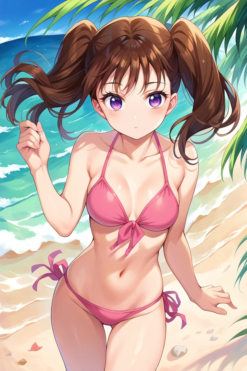 score_9, score_8_up, score_7_up,diane,1girl,solo,purple eyes, brown hair,twintails, pink bikini,beach, ocean, palm tree, (from above:0.8)  <lora:DianePony:1>