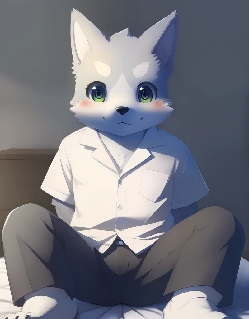 (((detailed eyes, detailed face))), (furry, seiya <lora:character_seiya_findigo_v2:1>, two-tone fur, grey fur, dog boy, snout, green eyes), male, (solo), (plump), (white shirt, grey pants), sitting, (arms behind back), smile, (front view) BREAK (konzaburou, ukan_muri, cute), bedroom, (flat shading, flat color, high brightness), 8k, UHD, masterpiece, (full body)