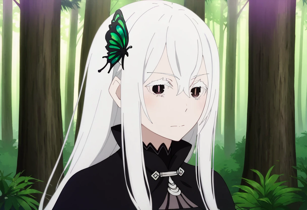 <lora:echidna:1> echidna, 1girl, solo, hair ornament, long hair, butterfly hair ornament, colored eyelashes, looking at viewer, white hair, hair between eyes, dress, tree, black dress, upper body, capelet, forest, closed mouth