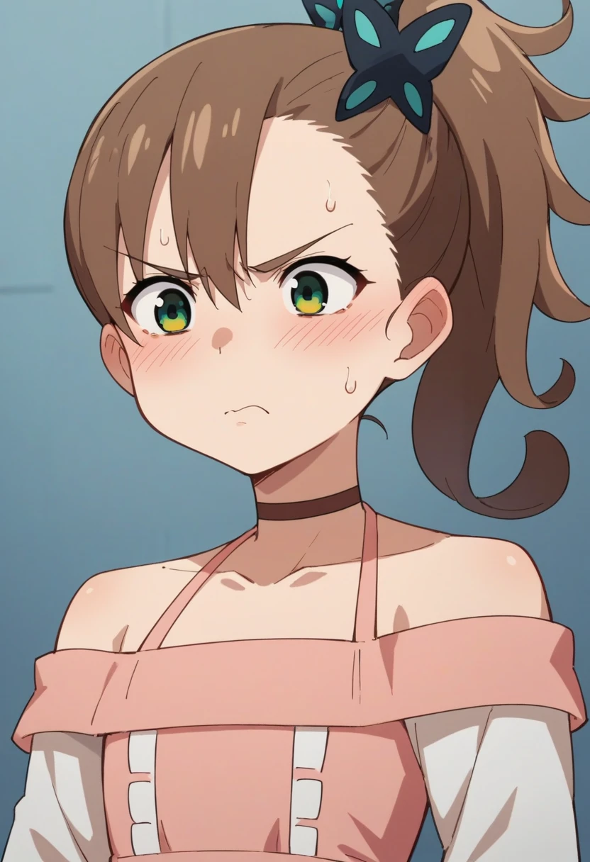 score_9, score_8_up, score_8, source_anime, 1girl, <lora:RinneInabav2:0.85> young girl, flat chest, sidetail hair, brown hair, green eyes, blush, brown choker, pink dress, white sleeves, butterfly hair ornament, upper body, angry,
simple background, blurry background,