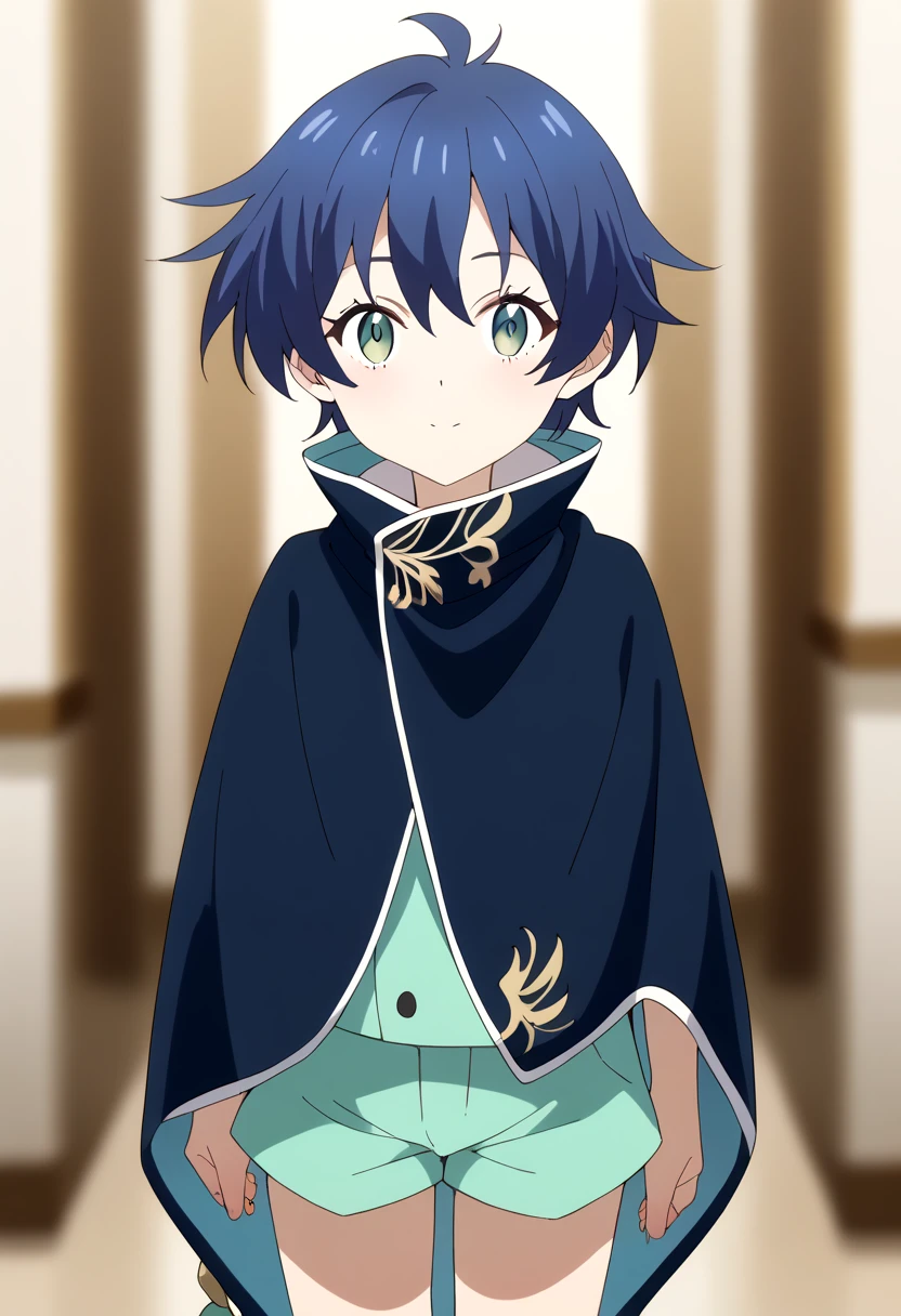 score_9, score_8_up, score_7_up, score_6_up, score_5_up, score_4_up, source_anime,  BREAK
 <lora:lloyd-pony_epoch_18:0.7>
one small boy,lloyd ,vest, green shorts ,blurry,dark blue cloak,looking at viewer,male, male focus,  blue hair,
inside, corridors, petite, vivid colors, petite, cute, young,juvenile,
masterpiece, high quality, very_high_resolution, large_filesize, full color,