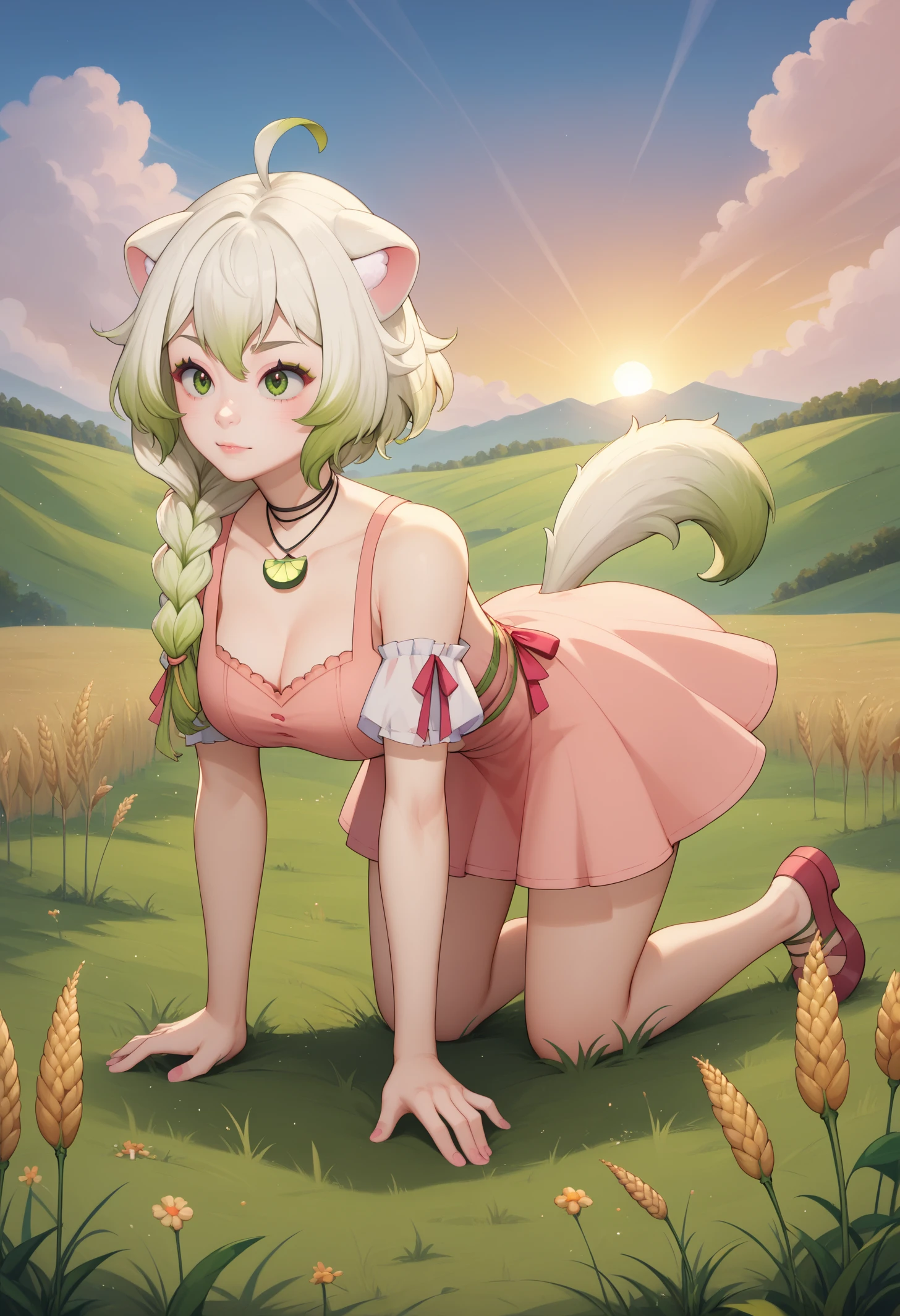 score_9, score_8_up, score_7_up, BREAK 1girl, solo, LaimuVT, green eyes, animal ears, tail, multicolored hair, medium hair, single braid, breasts, <lora:LaimuPDXL_V1-Manityro-CAME:1.0>, outdoors, wheat field, sunset,
all fours, side view,
choker, necklace, pink dress,