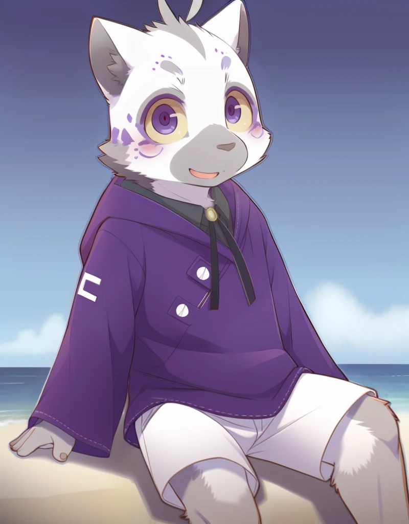 (((detailed eyes, detailed face))), (furry, nazk <lora:character_nazk_findigo_v1:0.9>, two-tone fur, grey fur, white fur, ahoge, cat boy, purple eyes), male, (solo), (plump), (purple robe, white shorts, black shirt, collared shirt, neck ribbon, black ribbon, grey hand), sitting, (arms behind back), smile BREAK (konzaburou, ukan_muri, cute), beach, (flat shading, flat color, high brightness), 8k, UHD, masterpiece, (full body)