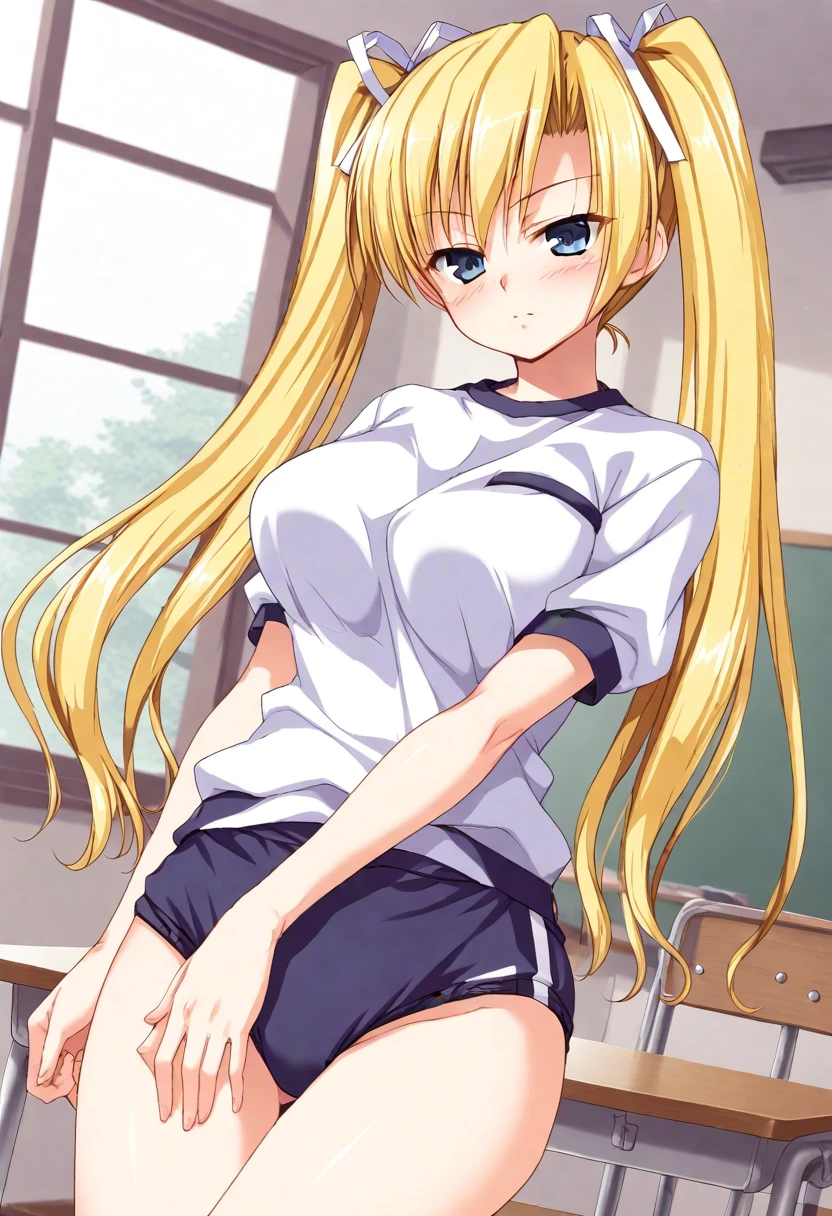 Seira Kamui  セイラ神居 XL ( Seito Kaichou Hikaru,聖徒会長ヒカル) pony-v1.0