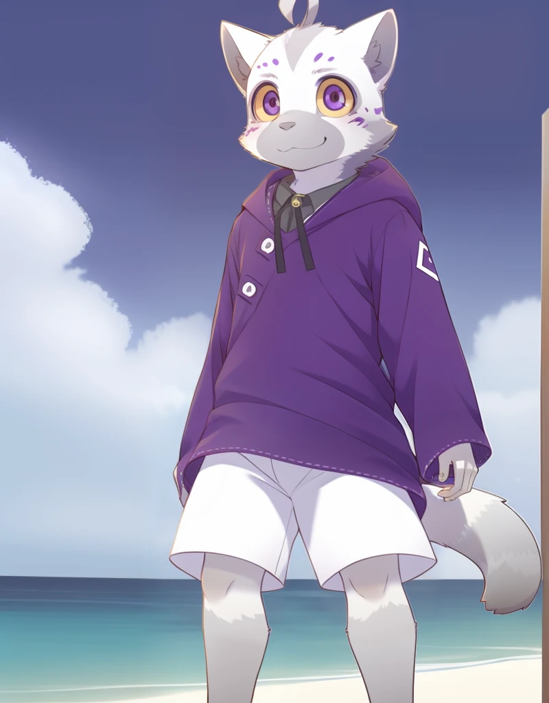 (((detailed eyes, detailed face))), (furry, nazk <lora:character_nazk_findigo_v1:0.9>, two-tone fur, grey fur, white fur, ahoge, cat boy, purple eyes), male, (solo), (plump), (purple robe, white shorts, black shirt, collared shirt, grey hand), standing, (arms behind back), smile BREAK (konzaburou, ukan_muri, cute), beach, (flat shading, flat color, high brightness), 8k, UHD, masterpiece, (full body)
